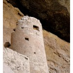 Mesa Verde's Spruce Tree tower