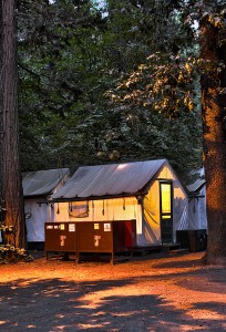 our curry village cabin